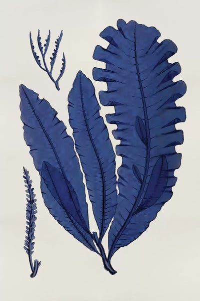 Melonie Miller: Indigo IV by Melonie Miller