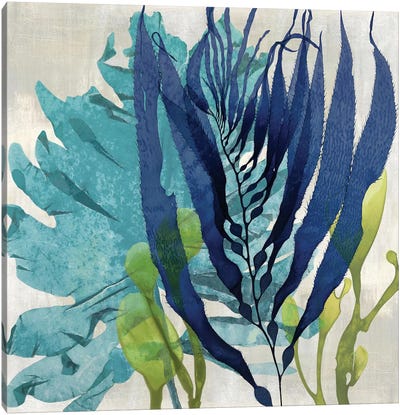 Sea Nature II Canvas Art Print - Blue & Green Art