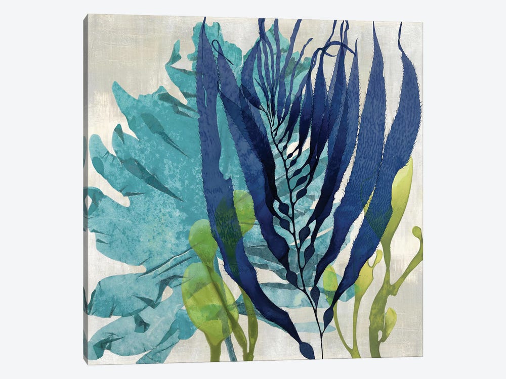 Sea Nature II by Melonie Miller 1-piece Canvas Wall Art