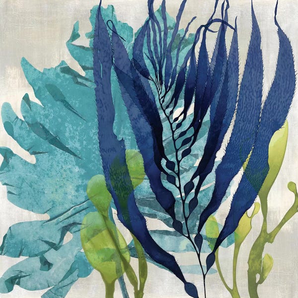 Floral & Botanical: Sea Nature II by Melonie Miller
