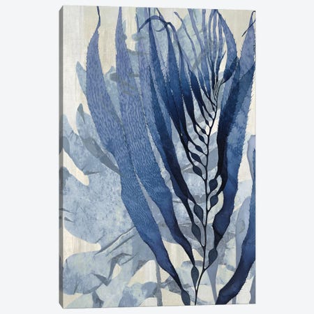 Sea Nature In Blue I Canvas Print #MMR29} by Melonie Miller Art Print