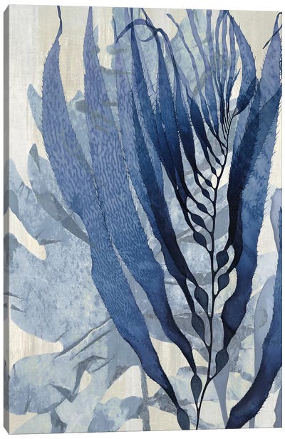 Sea Nature In Blue I Canvas Art Print - Navy & Neutrals