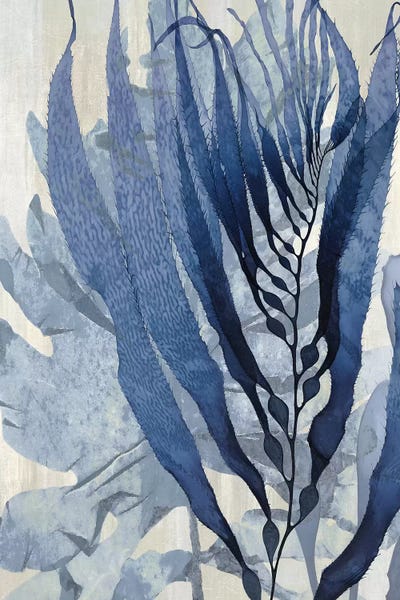 Melonie Miller: Sea Nature In Blue I by Melonie Miller