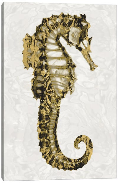 Golden Sea Horse II Canvas Art Print