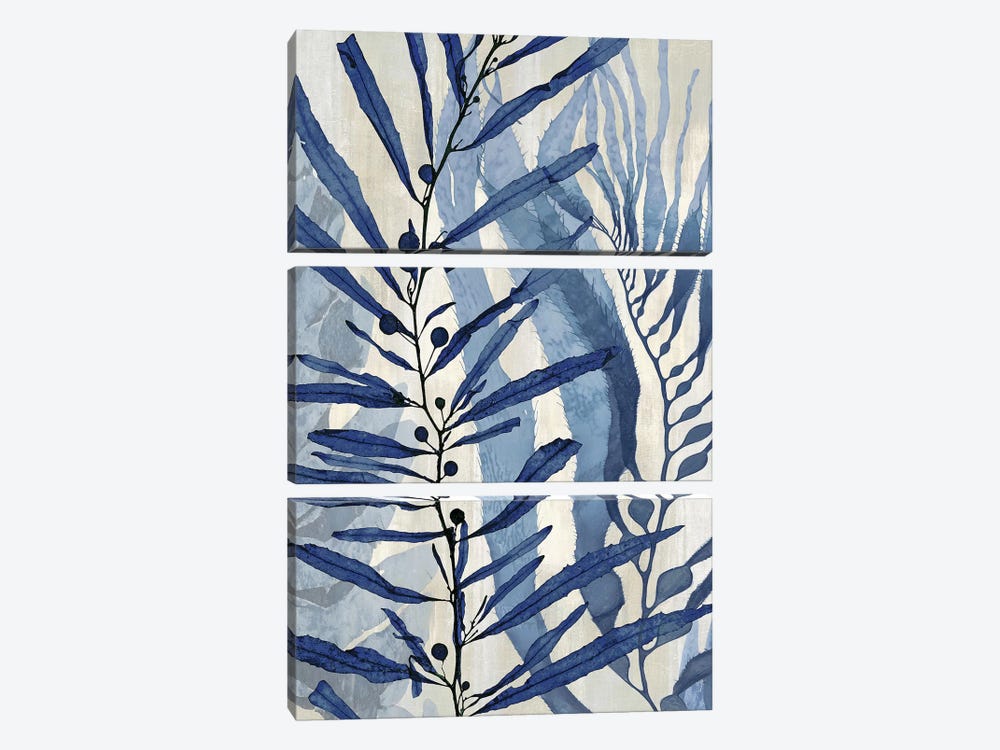 Sea Nature In Blue II by Melonie Miller 3-piece Canvas Art Print