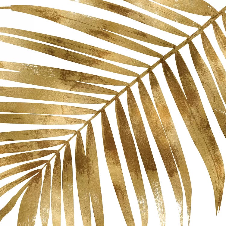 Gold Palm, Close-Up I