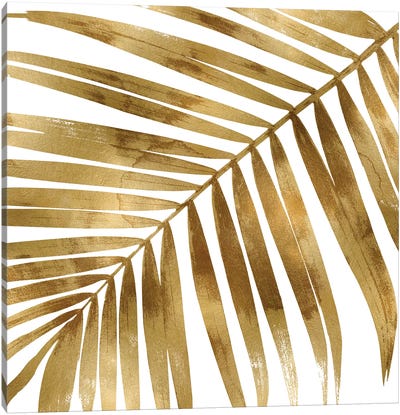 Gold Palm, Close-Up I Canvas Art Print - Leaf Art