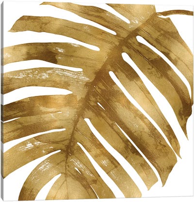 Gold Palm, Close-Up II Canvas Art Print - Tropical Leaf Art