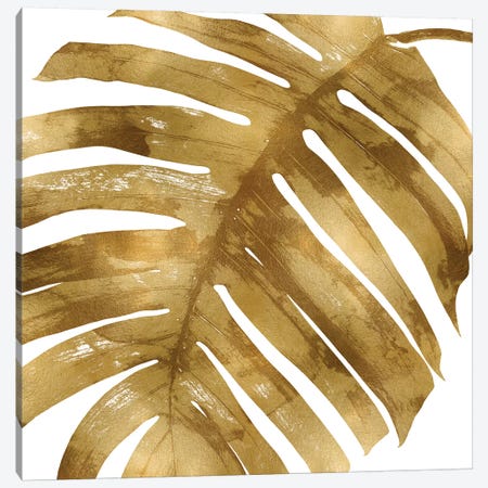 Gold Palm, Close-Up II Canvas Print #MMR38} by Melonie Miller Canvas Artwork