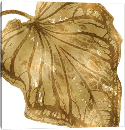 Gold Palm, Close-Up III Canvas Art Print