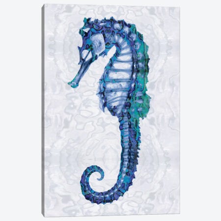Sea Horse I Canvas Print #MMR3} by Melonie Miller Canvas Artwork
