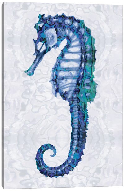 Sea Horse I Canvas Art Print - Indigo & White 