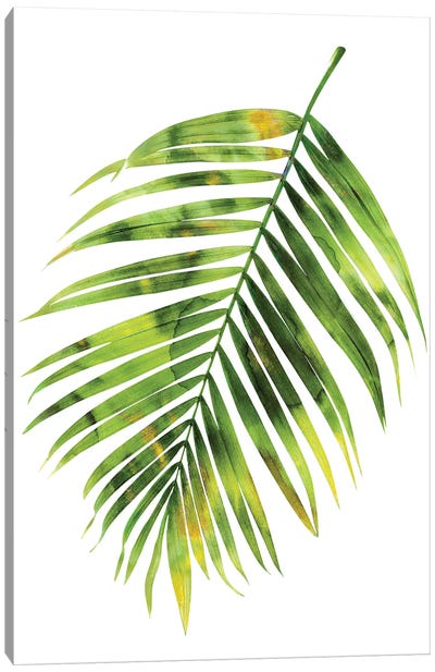 Green Palm I Canvas Art Print - Blue Tropics