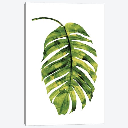 Green Palm II Canvas Print #MMR42} by Melonie Miller Canvas Art Print