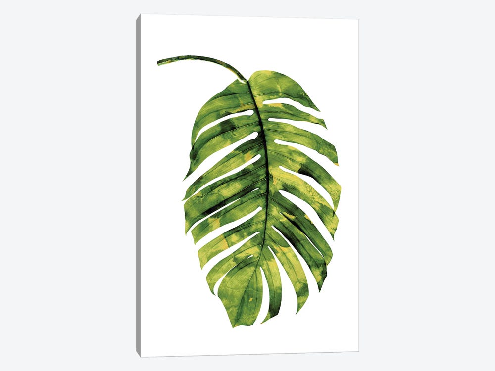 Green Palm II by Melonie Miller 1-piece Canvas Art