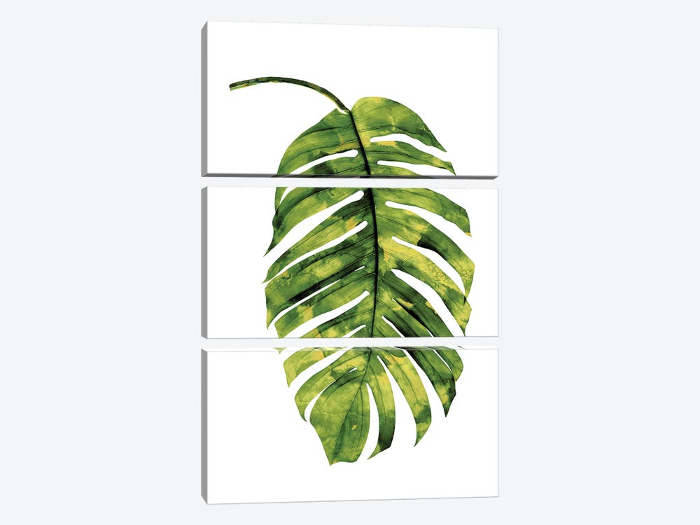 Green Palm II by Melonie Miller 3-piece Canvas Wall Art
