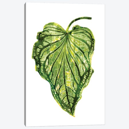 Green Palm III Canvas Print #MMR43} by Melonie Miller Canvas Art Print