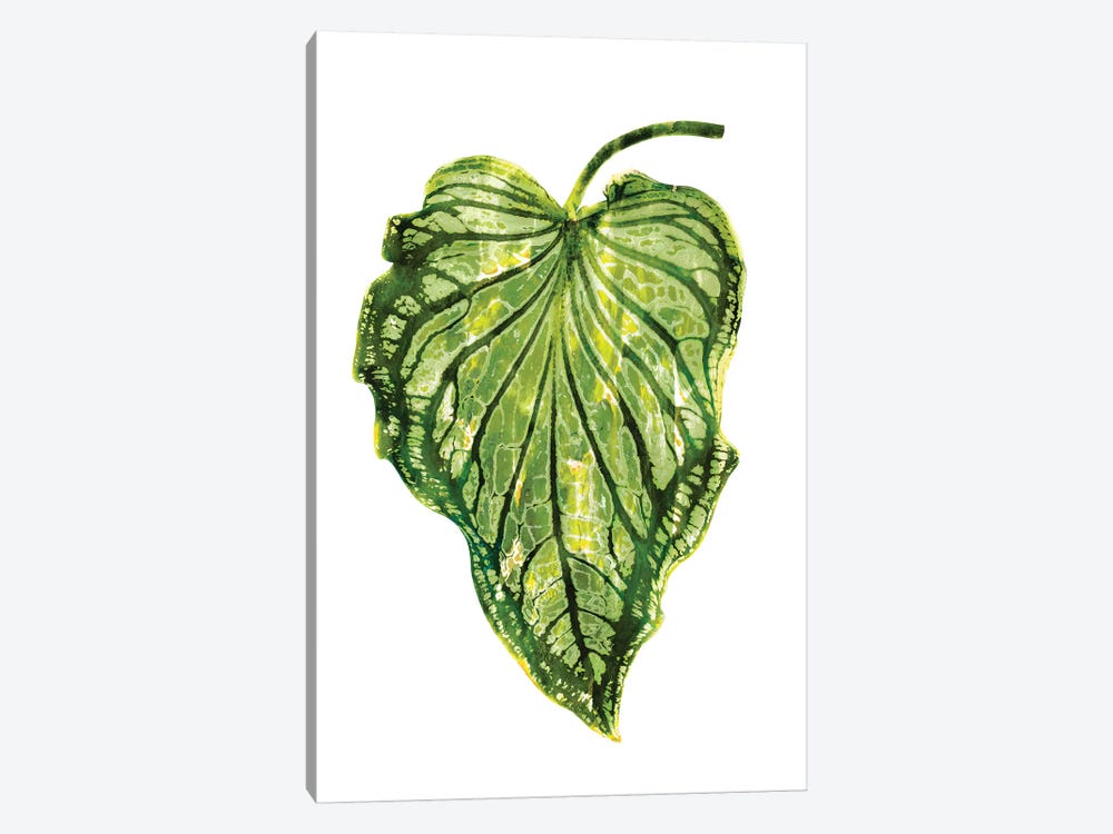 Green Palm III by Melonie Miller 1-piece Art Print