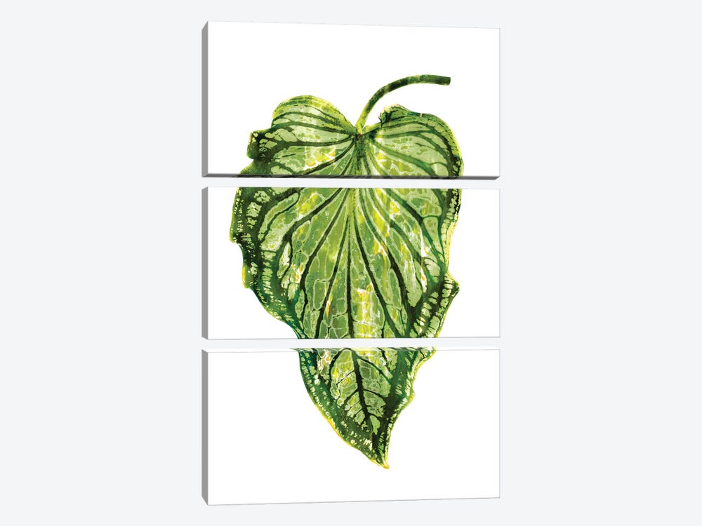 Green Palm III by Melonie Miller 3-piece Art Print