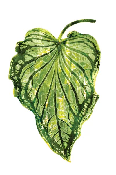 Melonie Miller: Green Palm III by Melonie Miller