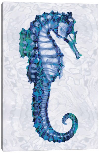 Sea Horse II Canvas Art Print - Seahorse Art