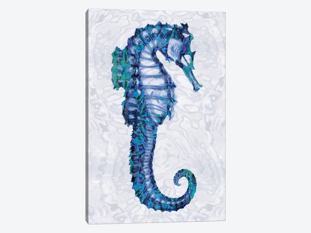 Sea Horse II by Melonie Miller 1-piece Canvas Art Print