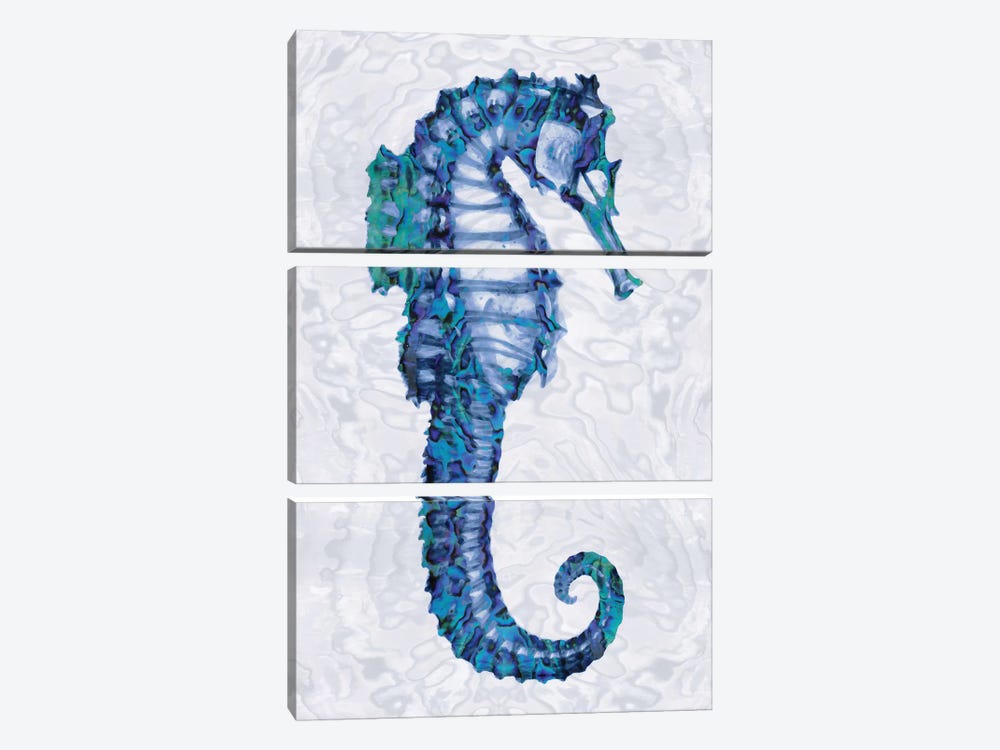 Sea Horse II by Melonie Miller 3-piece Canvas Art Print