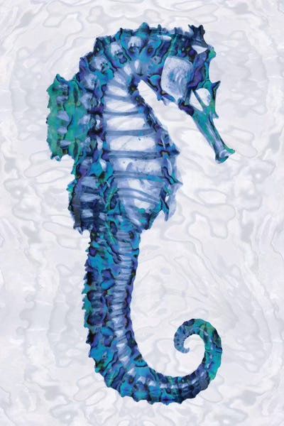 Melonie Miller: Sea Horse II by Melonie Miller