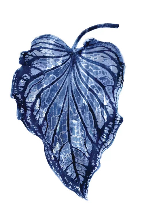 Indigo Palm III