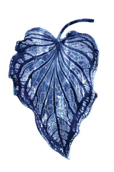 Tropical Leaves: Indigo Palm III by Melonie Miller