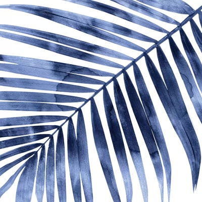 Indigo Palm, Close-Up I by Melonie Miller framed canvas print