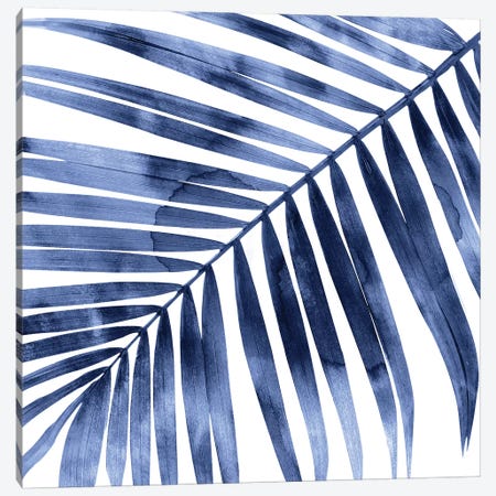 Indigo Palm, Close-Up I Canvas Print #MMR53} by Melonie Miller Canvas Art