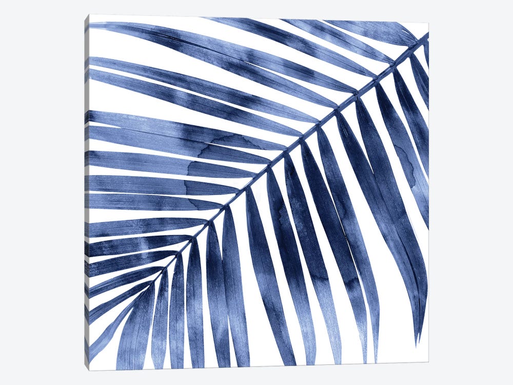Indigo Palm, Close-Up I by Melonie Miller 1-piece Canvas Art
