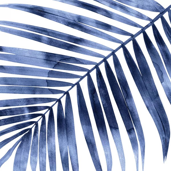 Melonie Miller: Indigo Palm, Close-Up I by Melonie Miller
