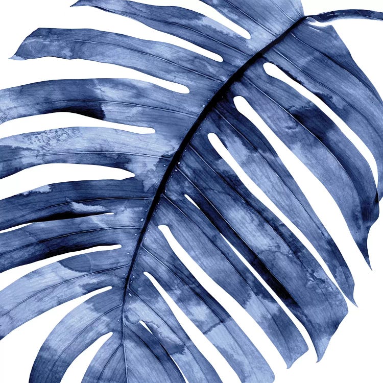 Indigo Palm, Close-Up II