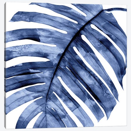 Indigo Palm, Close-Up II Canvas Print #MMR54} by Melonie Miller Canvas Print