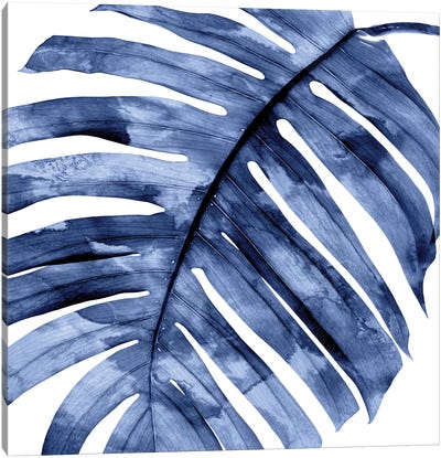 Indigo Palm, Close-Up II Canvas Art Print - Nature Close-Up Art
