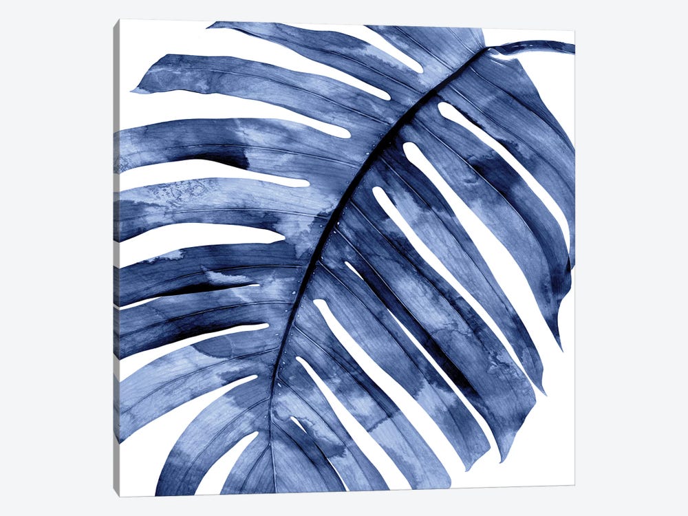 Indigo Palm, Close-Up II by Melonie Miller 1-piece Canvas Art Print