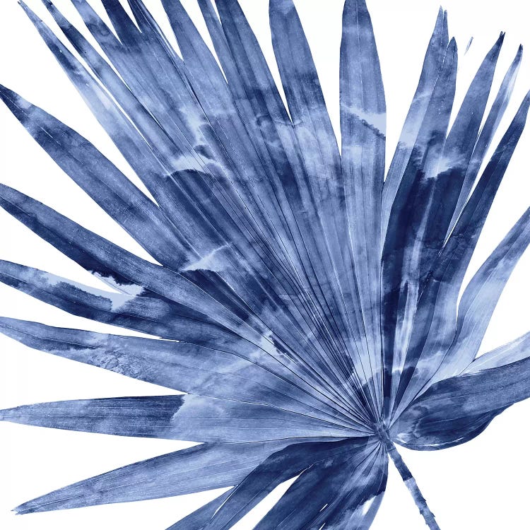 Indigo Palm, Close-Up IV by Melonie Miller wall art