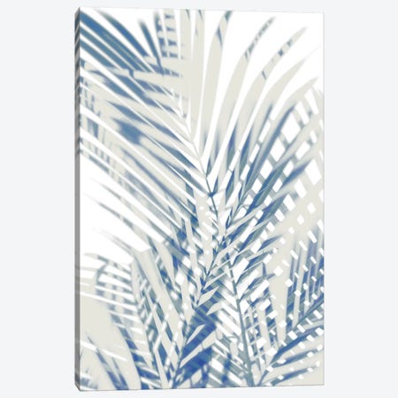 Palm Shadows  I Canvas Print #MMR57} by Melonie Miller Canvas Print