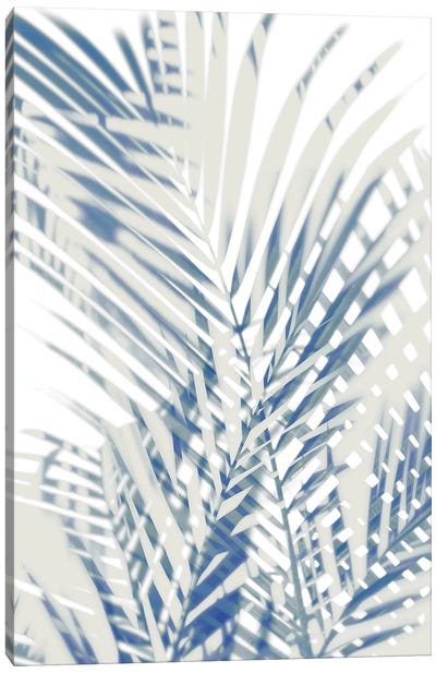 Palm Shadows  I Canvas Art Print - Tropical Leaf Art