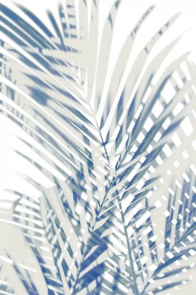 Tropical Leaves: Palm Shadows  I by Melonie Miller