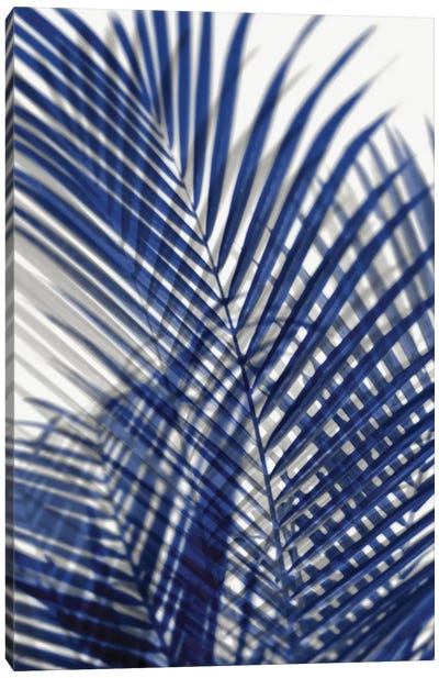 Palm Shadows Blue I Canvas Art Print - Tropical Décor