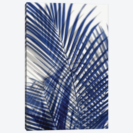Palm Shadows Blue I Canvas Print #MMR59} by Melonie Miller Canvas Artwork