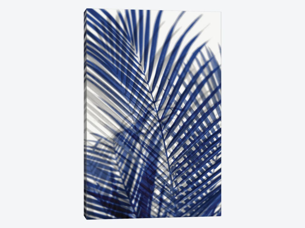 Palm Shadows Blue I by Melonie Miller 1-piece Canvas Artwork