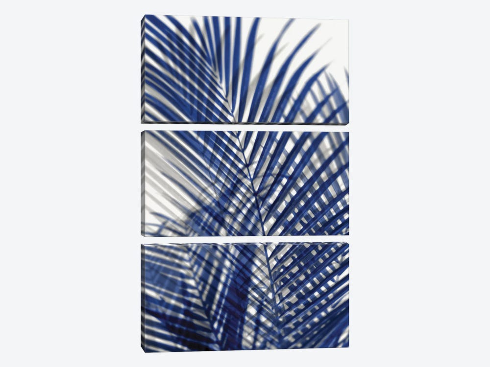 Palm Shadows Blue I by Melonie Miller 3-piece Canvas Wall Art