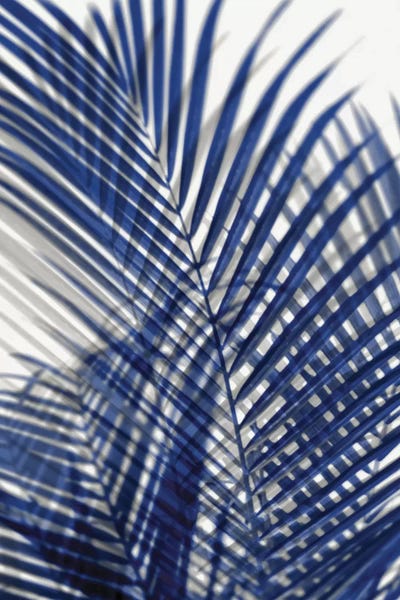 Melonie Miller: Palm Shadows Blue I by Melonie Miller