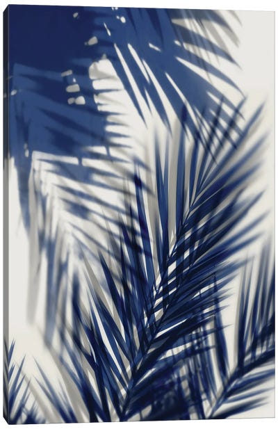 Palm Shadows Blue II Canvas Art Print - Blue Tropics