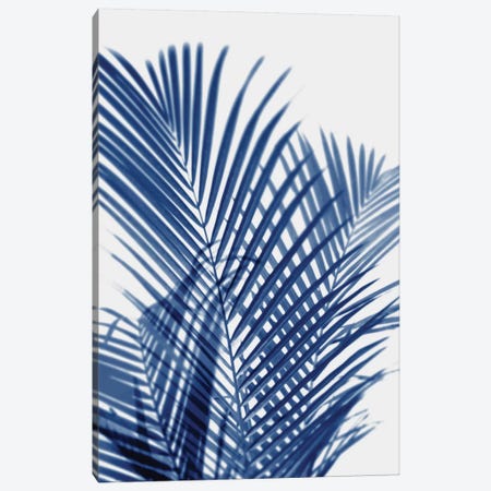 Palm Shadows Indigo I Canvas Print #MMR65} by Melonie Miller Canvas Artwork