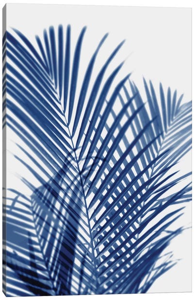 Palm Shadows Indigo I Canvas Art Print - Melonie Miller